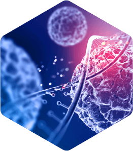 درباره هیستو لب