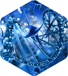 هیستولب؛ سه دهه تخصص